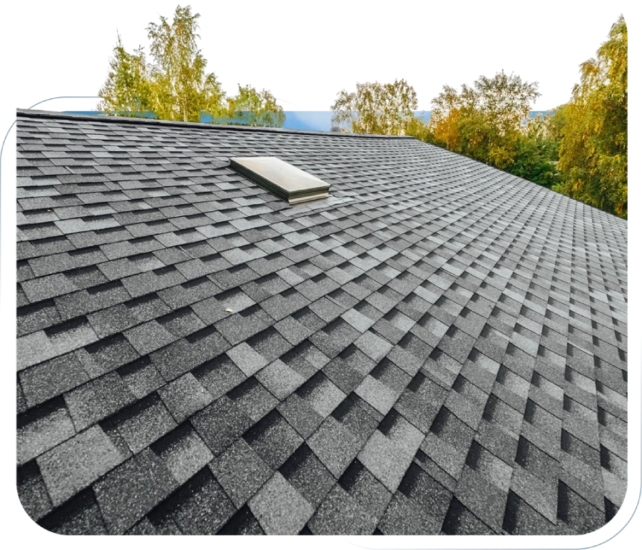 Group 11 (3) (1) Close-up of a shingled roof with a skylight under a cloudy sky.